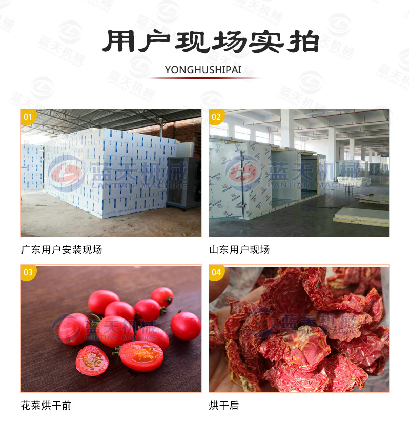 圣女果烘干機(jī)用戶現(xiàn)場(chǎng)